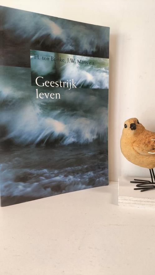 Brinke, H. ten e.a.; Geestrijk leven, Boeken, Godsdienst en Theologie, Gelezen, Christendom | Protestants, Ophalen of Verzenden