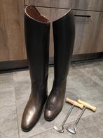 Petrie rijlaarzen, Dieren en Toebehoren, Paardrijkleding, Ophalen, Zo goed als nieuw, Dressuur, Schoeisel