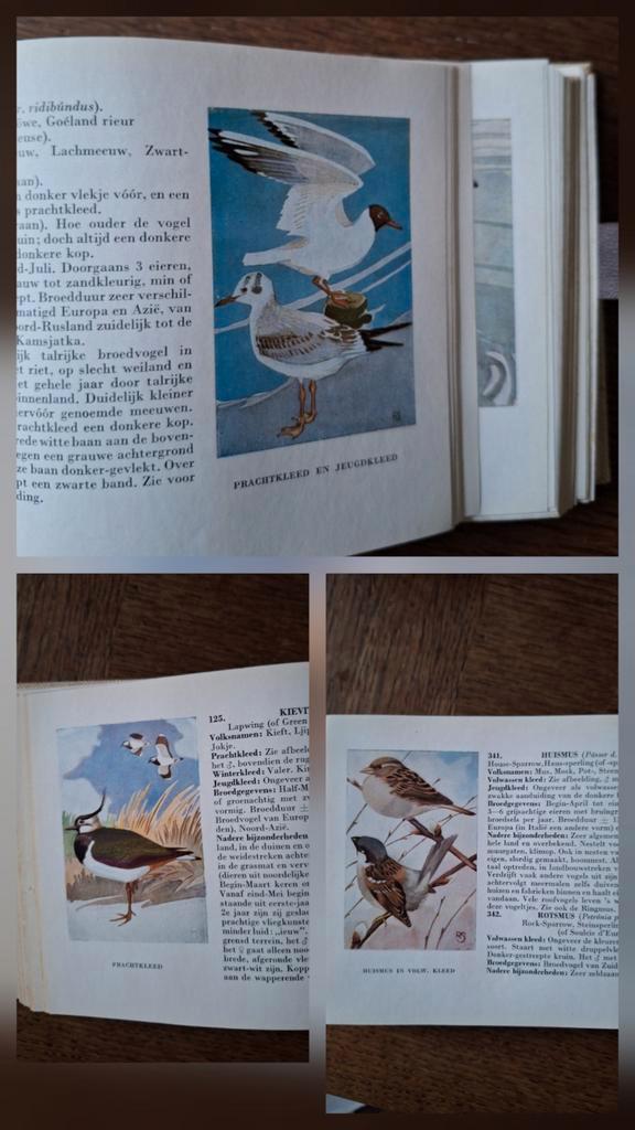 Vintage boek: 'Zien is kennen' Binsbergen, 1953, 369 platen, Boeken, Dieren en Huisdieren, Ophalen of Verzenden