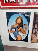Dräger reclamebord blik vrouw, Antiek en Kunst, Ophalen of Verzenden