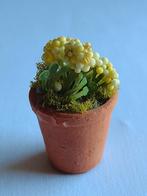 tc bloempot met plantje / miniatuur, Ophalen, Nieuw, Decoratie