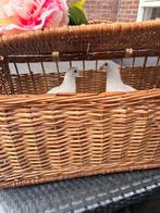 Trouwduiven, Dieren en Toebehoren, Postduif