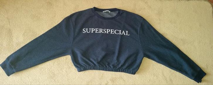 Cropped trui zara maat m blauw truien superspecial kleding, Kleding | Dames, Truien en Vesten, Zo goed als nieuw, Maat 38/40 (M)