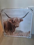 Poster Schotse Hooglander in houten lijst, Huis en Inrichting, Woonaccessoires | Schilderijen, Tekeningen en Foto's, Ophalen, Minder dan 50 cm