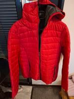 RODE JAS, Ophalen of Verzenden, Zo goed als nieuw, Rood