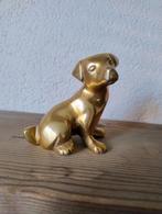 Messing hondje, Ophalen of Verzenden