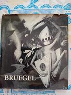 Bruegel the elder, Ophalen of Verzenden, Zo goed als nieuw, Schilder- en Tekenkunst