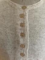 Fames truitje maat M, Kleding | Dames, Truien en Vesten, Ophalen of Verzenden, Zo goed als nieuw