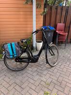 GAZELLE C8. BOSCH PLUS MOTOR KM2403, Ophalen of Verzenden, Zo goed als nieuw, 47 tot 51 cm, 50 km per accu of meer