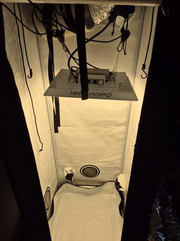 Kweektent phantomdeluxe 60x60x160 mars hydro ts1000 led lamp beschikbaar voor biedingen