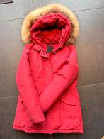 Airforce Rode Dames Jas Maat 12 met Bontrand, Ophalen, Zo goed als nieuw, Maat 34 (XS) of kleiner, Rood