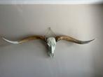 Longhorn 170 stierenkop western, Ophalen, Zo goed als nieuw
