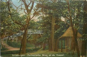 (381-032-011) Driebergen Zwitsersche Brug en de Koepel beschikbaar voor biedingen