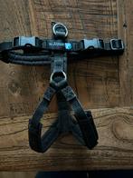 Anny X tuigje zwart maat XXS., Ophalen of Verzenden, Gebruikt