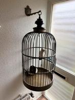 Antieke papagaaien kooi messing, Ophalen, Koper