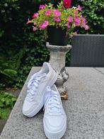Nieuwe Puma sneakers mt 37 wit/goud., Ophalen of Verzenden, Nieuw, Wit, Sneakers of Gympen