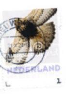 NEDERLAND RONDSTEMPEL ROOFVOGEL, Postzegels en Munten, Postzegels | Nederland, Verzenden, Na 1940