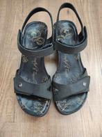 Panama Jack zwarte sandalen met sleehak maat 36, Zwart, Panama Jack, Gedragen, Sandalen of Muiltjes