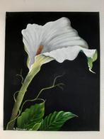 Schilderij bloem calla, Antiek en Kunst, Kunst | Schilderijen | Modern, Ophalen of Verzenden
