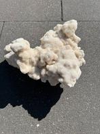 Chalsedoon koraal, Verzamelen, Mineralen en Fossielen, Ophalen of Verzenden