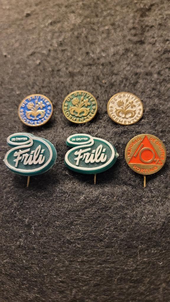 De Gruyter s'Hertogenbosch speldjes, Verzamelen, Speldjes, Pins en Buttons, Zo goed als nieuw, Speldje of Pin, Merk, Verzenden