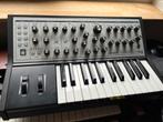 Moog Sub Phatty - bas synthesizer, Muziek en Instrumenten, Overige merken, Zo goed als nieuw, Met midi-aansluiting, Overige aantallen