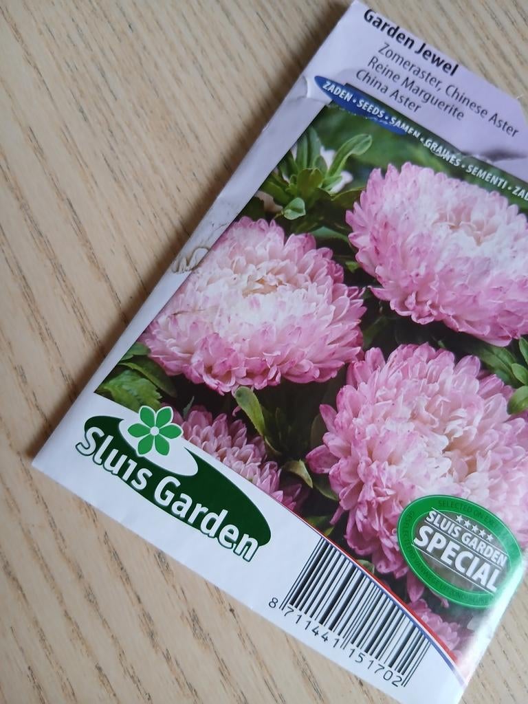 Chinese Aster / Garden Jewel – ca. 50 zaden, Tuin en Terras, Bloembollen en Zaden, Ophalen of Verzenden, Volle zon