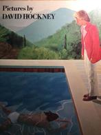 David Hockney pictures, Antiek en Kunst, Kunst | Tekeningen en Foto's, Ophalen of Verzenden