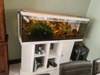 Prachtig  aquarium., Dieren en Toebehoren, Ophalen, Gebruikt, Terrarium of Paludarium