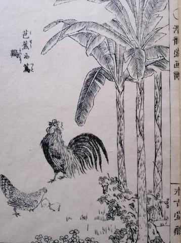 Japanse houtsnede van Takizawa Kiyoshi - Kippen beschikbaar voor biedingen
