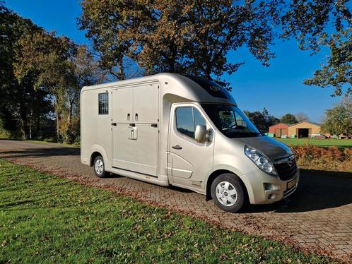 Opel Movano STX paardenwagen hengsten uitvoering, Dieren en Toebehoren, Paarden en Pony's | Trailers en Aanhangwagens, Gebruikt
