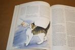 Wat denkt mijn kat van mij? Met prachtige illustraties., Boeken, Dieren en Huisdieren, Ophalen of Verzenden, Gelezen, Katten
