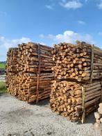 Kastanjehouten palen, heiningpalen, 180cm lang , 10/12cm dik, Ophalen, Nieuw, 180 tot 250 cm, Palen