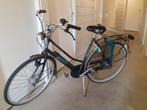 Gazelle Superieur Damesfiets - Gereviseerd!, Ophalen, Gebruikt, Gazelle, Versnellingen
