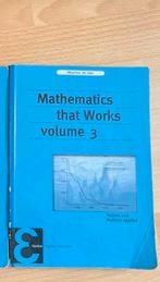 Mathematics that works, volume 3, Ophalen of Verzenden, Zo goed als nieuw, Maarten de Gee, Natuurwetenschap