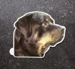 Introduct vintage sticker Rottweiler hondensticker, Ophalen of Verzenden, Nieuw, Sticker