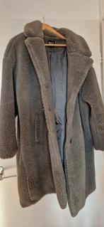 Teddybeer jas maat 52, Kleding | Dames, Jassen | Winter, Groen, Gedragen, Ophalen of Verzenden, MS Mode