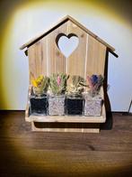 Prachtige wandkast met droogbloemetjes, Ophalen of Verzenden, Nieuw