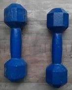 Dumbells twee stuks., Sport en Fitness, Ophalen, Gebruikt, Buik, Dumbbell