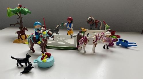 Playmobil 9262, Adventskalender Paardrijclub., Kinderen en Baby's, Speelgoed | Playmobil, Gebruikt, Complete set, Ophalen of Verzenden
