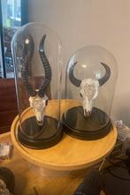 Glazen Vaas & Woonaccessoires, Gebruikt, Overige kleuren, Ophalen of Verzenden, Glas