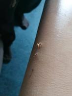 Massagetafel - Gebruikt, Huis en Inrichting, Stoelen, Ophalen of Verzenden