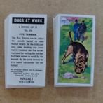Dogs at Work complete set 25 trade cards honden 1971 Vims, Ophalen, Zo goed als nieuw