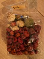 Decoratieve gedroogde bloemen en vruchten, Tuin en Terras, Overige materialen, Minder dan 30 cm, Minder dan 60 cm, Ophalen of Verzenden