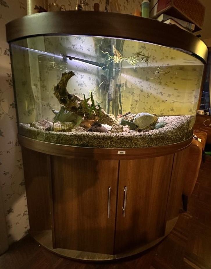 Juwel Aquarium 350L donker hout, Dieren en Toebehoren, Vissen | Aquaria en Toebehoren, Gebruikt, Gevuld zoetwateraquarium, Ophalen