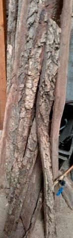 Schors van walnootboom, Gebruikt, Ophalen, Overige houtsoorten
