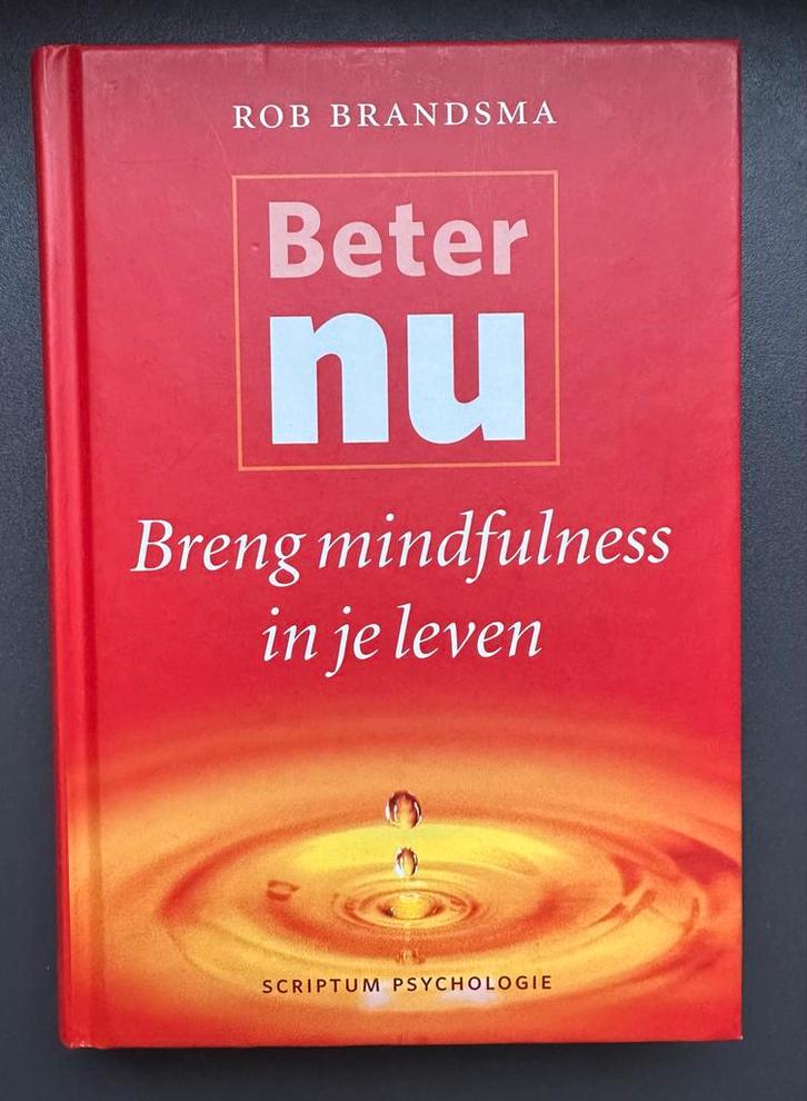 Beter Nu - Mindfulness in je leven, Boeken, Esoterie en Spiritualiteit, Zo goed als nieuw, Achtergrond en Informatie, Meditatie of Yoga