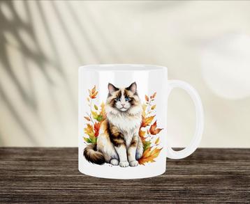 Ragdoll Herfstmok beschikbaar voor biedingen