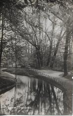 Winschoten- -Stadsbosch., Verzenden, 1940 tot 1960, Gelopen, Groningen