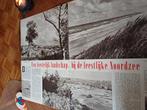 Artikel over De Kennemerduinen 1956 4 pagina s, Ophalen of Verzenden, 1940 tot 1960, Knipsel(s)